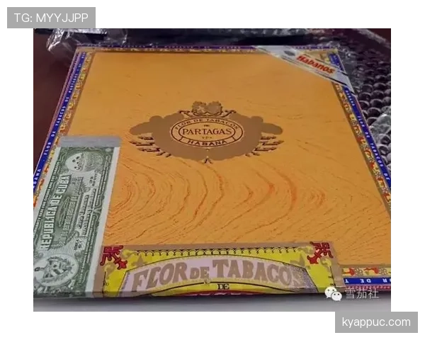 乔丹家的雪茄钱够我交十年房租